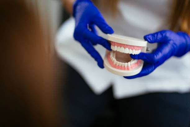 Emergency Dental Services in North Weeki Wachee, FL