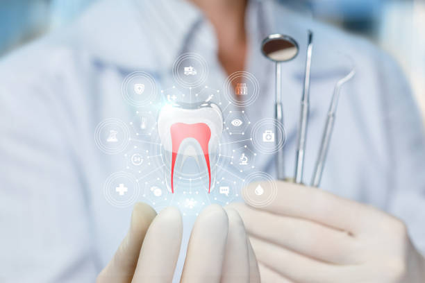 Dental Bonding in North Weeki Wachee, FL
